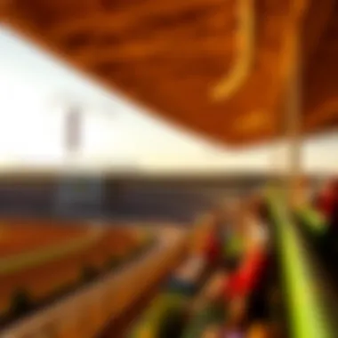 The grandstand view of Pompano Park during a race