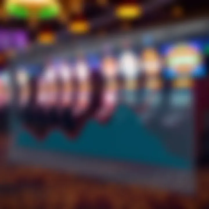 Graph illustrating revenue distribution from the lottery